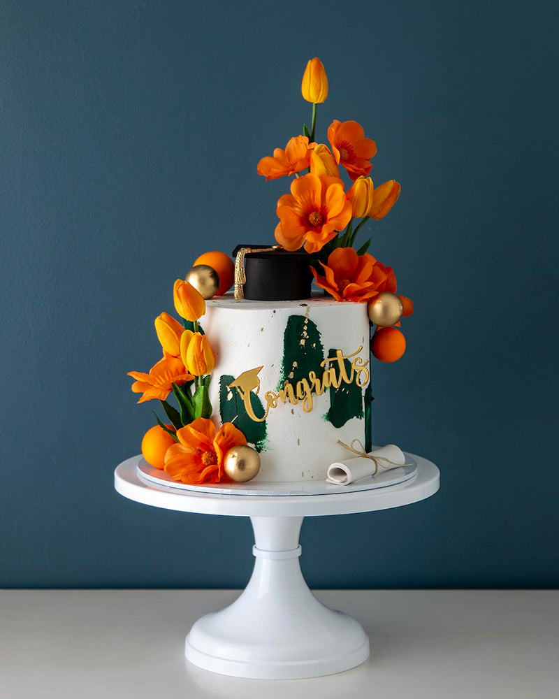 University of Miami graduation cake