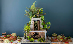 Jurassic Birthday Party Kit