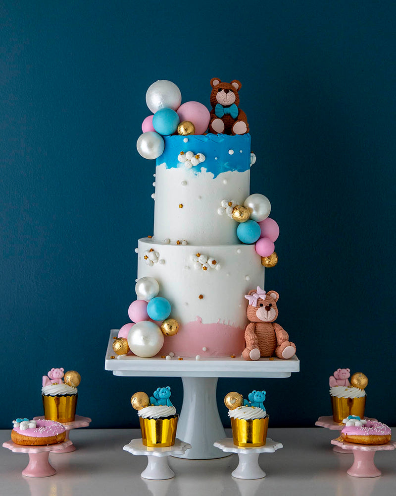 Teddy Bear Gender Reveal 2