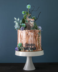 Sloth Birthday Cake Elegant Temptations Bakery